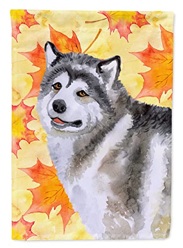 Drapeau Malamute de l'Alaska Caroline's Treasures BB9899CHF grand format multicolore pour maison