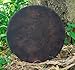 ARAW American Shamanic Native Drum Bison Natural Hide (20 Inches Diameter X 3 Inches Depth)