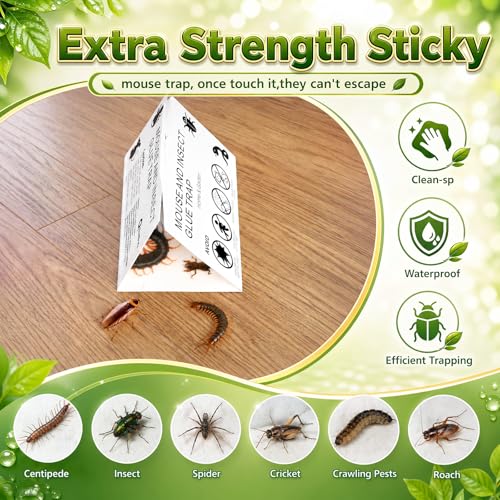 Image of Qualirey 30 Pcs Cricket Traps Indoor, Roach Bug Spider Glue Boards, Printed Insect Sticky Sheets, Foldable Triangle Traps for Kitchen, Bathroom, Basement and Garage, 5.12 x 8.27 Inch(Triangle Style)
