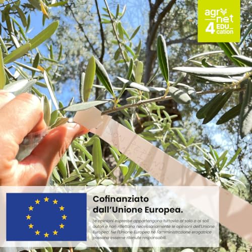 『AgriNet For Education: Radici e innovazione la storia di Roberto Tesoriere e la rinascita dell’agricoltura familiare in Calabria』のカバーアート