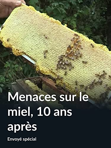 Menaces sur le miel, 10 ans après (Envoyé spécial)