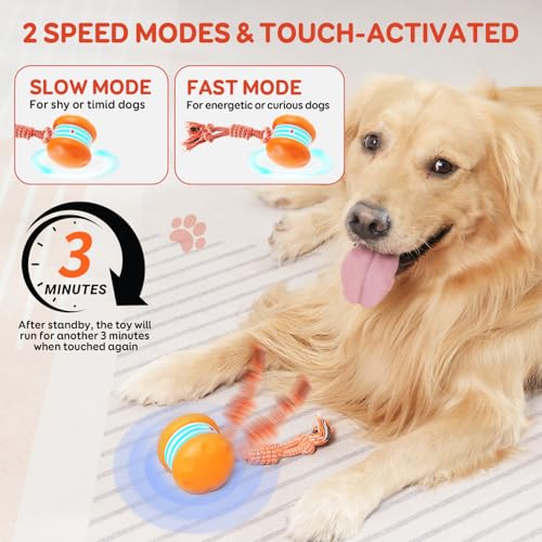Hedsuin Interaktiver Hundeball, Zufallspfad Elektrisches Automatisches Bewegliches und Rollen Hundespielzeug mit Seil für Kleine Mittlere Große Hunde, Bewegungsaktiviertes Hundespielzeug