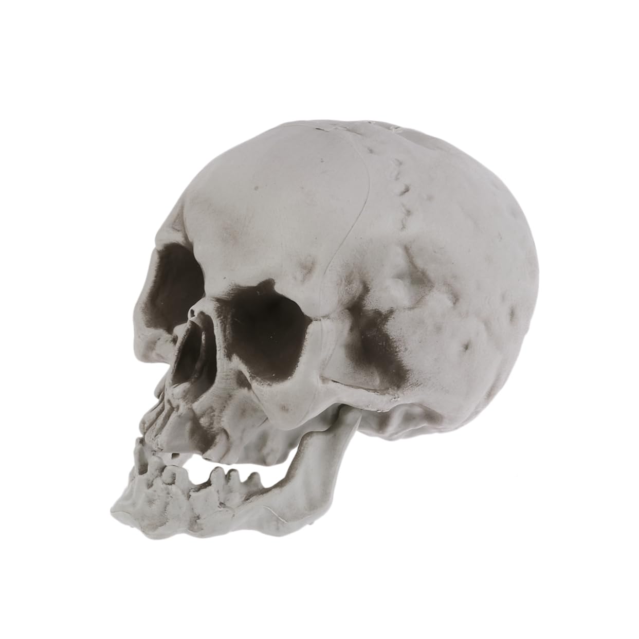 ibasenice 2 Pezzi Di Teschi Di Halloween Teschio Di Plastica Accessori Di Halloween Decorazioni Per Feste A Forma Di Teschio