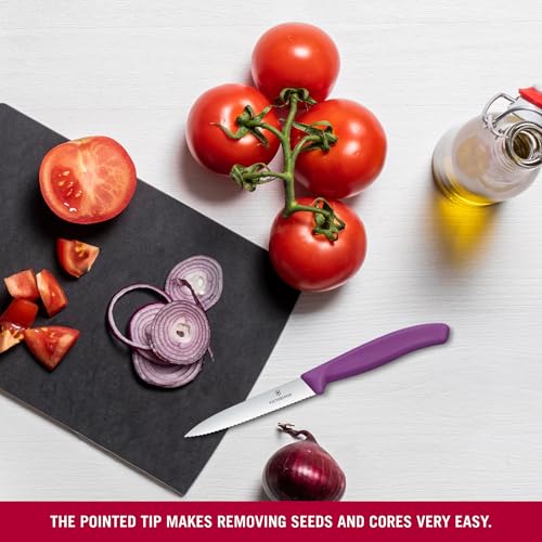 Image of Victorinox Swiss Made Stainless Steel Swiss Classic Paring Knife, 10 cm, Serrated Edge with Pointed Tip, Professional and Household Kitchen Tools, Kitchen Items, Purple, 6.7735.C1 | Multipurpose Knife