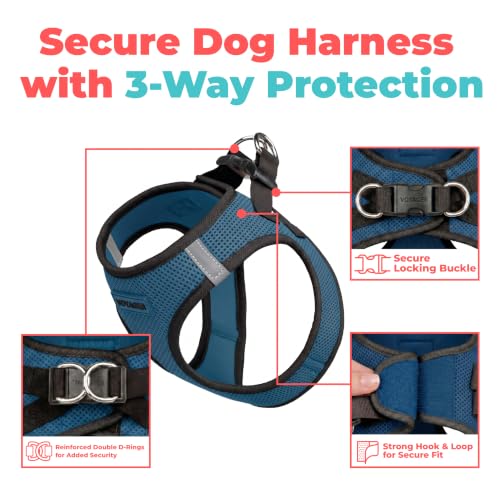 Image of Voyager Step-in Air Dog Vest Harness - Blue /Black Trim, XX-Small
