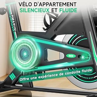 DMASUN Velo d appartement, Vélo d'appartement Silencieux, 0-100% Résistance Réglable, Vélo d'intérieur pour Entraînement Cardio avec Écran LCD, Support pour Tablette, Siège Confortable, Capacité 160kg