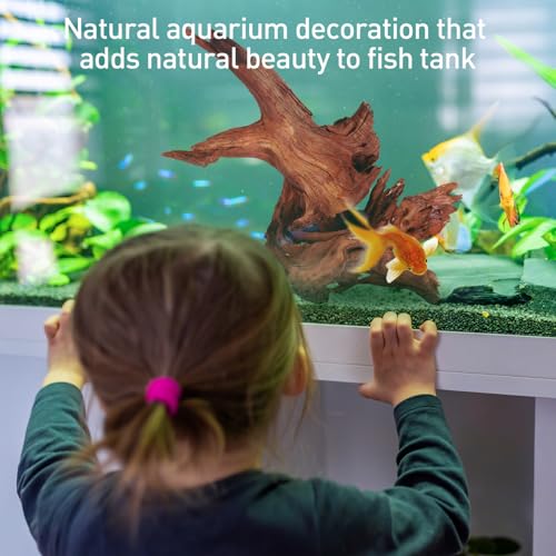 Image of WDEFUN Natural Driftwood for Aquarium Decor, 2-Piece 10''-14'' Large Driftwood for Decorations on Fish Tank, Reptiles Bearded Dragon Accessories or Air Plants
