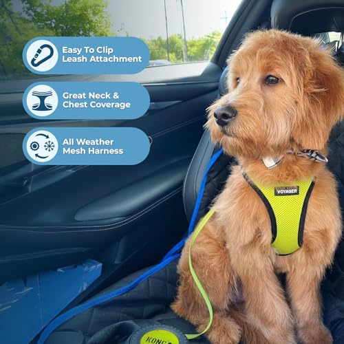Image of Voyager Step-in Air All Weather Mesh Harness & Reflective Dog 5 ft Leash Combo, Neoprene Handle, for Small, Medium, Large Breed Puppies by Best Pet Supplies - Leash Harness (Lime /Black Trim), XXS