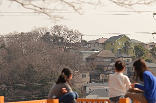 Sigma 105mm F2,8 EX Makro DG OS HSM-Objektiv für Canon EF Objektivbajonett – Bild 3