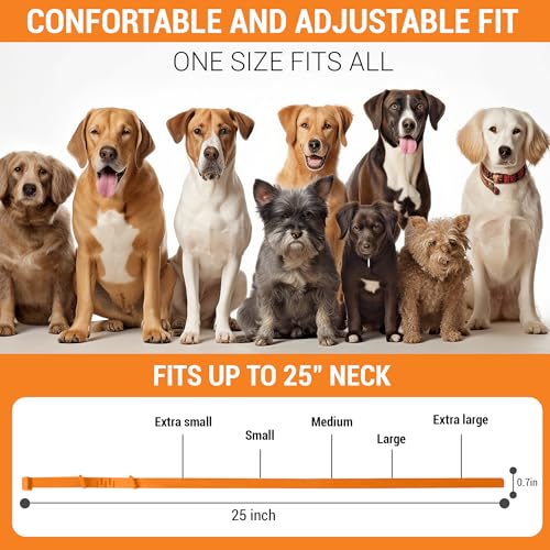 Image of CalmPaws 3 Pack, Calming Collar for Dogs, Dog Calming Pheromone Collar, Relief Anxiety Stress Separation, Lasts 60 Days, Adjustable for All Dogs