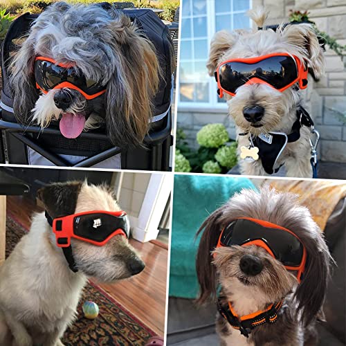Lunettes pour petit chien contre le vent pour protéger ses yeux - 6