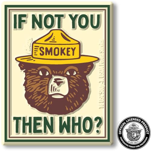 Imán Smokey Bear 'If Not You' 2.4" x 3.1" Vintage miniatura 1