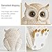 White and Gold Owl Statue - Cute Resin Figurine Home Decor for Desk Bookshelf Coffee Table, Gift for Owl Lovers, Office Living Room Bedroom Decor