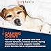 Petaxin Calming Treats For Dogs - Stress & Anxiety Relief For Dogs - Supports Calm & Relaxed Behavior - Calming Chews For Dogs With Chamomile, Ginger, & More for Barking, Fireworks, Storms - 120 Chews