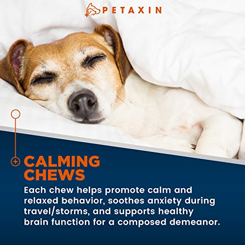 Calming Treats For Dogs – Stress & Anxiety Relief For Dogs – Supports Calm & Relaxed Behavior – Calming Chews For Dogs With Chamomile, Ginger, & More for Barking, Fireworks, Storms – 120 Chews Calming Treats For Dogs – Stress & Anxiety Relief For Dogs – Supports Calm & Relaxed Behavior – Calming Chews For Dogs With Chamomile, Ginger, & More for Barking, Fireworks, Storms – 120 Chews