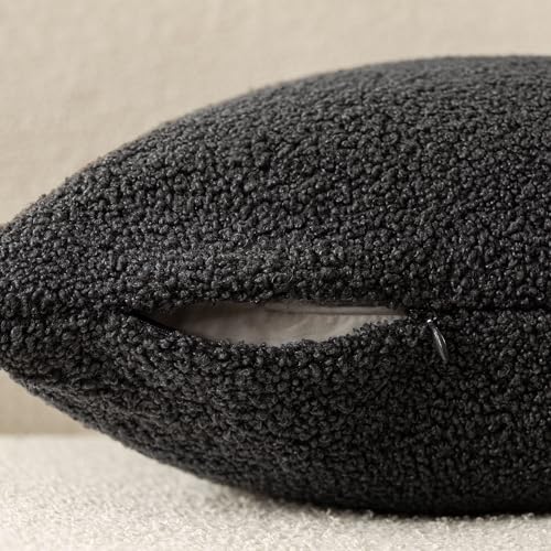 Image of Foindtower Pack of 2, Curly Faux Fur Decorative Throw Pillow Covers Soft Neutral Plush Cushion Case with Zipper Cozy Pillowcase for Home Living Room Couch Bed Sofa 16 x 16 Inch,Dark Gray