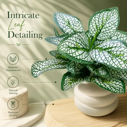 Image of Artificial Fittonia Nerve Plant in White Ceramic Pot, Realistic Faux Potted Desk Plant, Low Maintenance Small Fake Tabletop Greenery for Office, Living Room & Home Decor