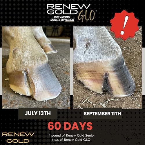 Renew Gold Glo - Suplemento para crescimento de cascos e cabelos