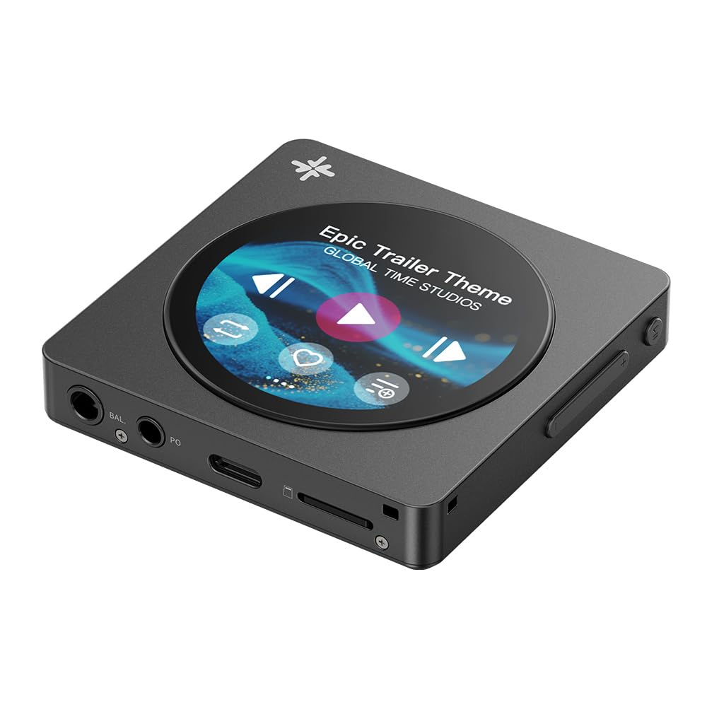 Amazon.co.jp: FIIO Snowsky DISC FIO-SSDISC【日本正規品・シリアル