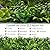 ODTORY Artificial Greenery Wall Roll, 40X120IN(33.5 sqft) UV-Anti Ivy Privacy Fence Wall Screen Faux Plant Panels Backdrop Boxwood Ivy Vine Leaf Hedge Fence for Indoor Outdoor Green Decor
