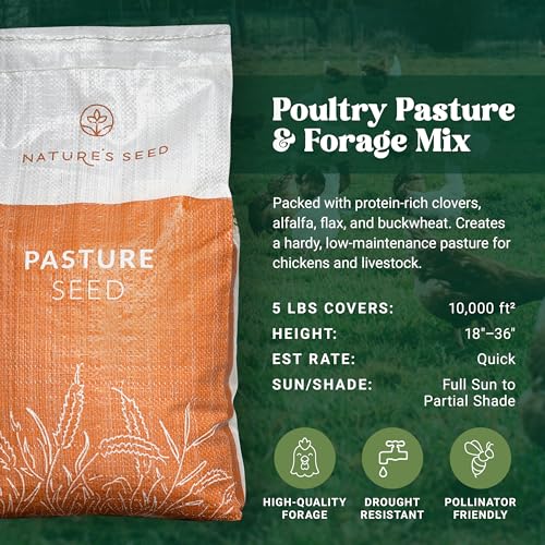 Forage Crop Seed Blends For Cattle Feed Temperate Climates