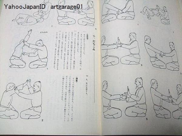Amazon.co.jp: 道家合気術内功の巻/早島正雄/幻の武術初公開