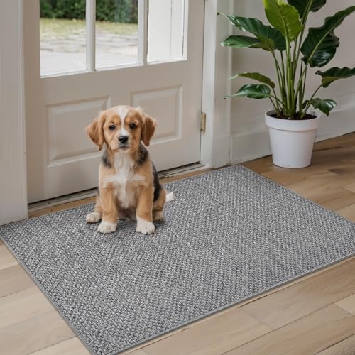 DEXI Schmutzfangmatte Innen 44 x 76 cm, rutschfest Fußmatte waschbar, absorbierend Fussmatte, Dünne Türmatte Eingangsteppich für Haustür & Flur, Grau