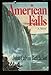 American Falls: A Novel