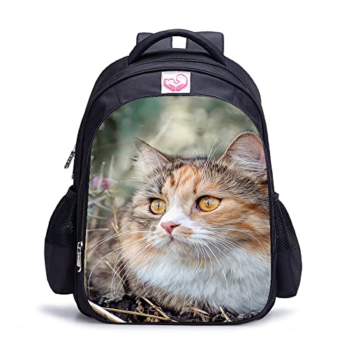 Sac à dos adulte Chat ergonomique pour soulager votre dos