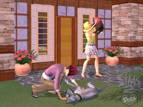 The Sims 2 Pets - Nintendo Wii (Renewed)