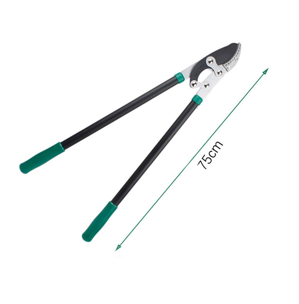 Forbici da potatura, cesoie manuali, cesoie per Rami da Giardino, cesoie Spesse retrattili, cesoie per potatura Alberi da frutto