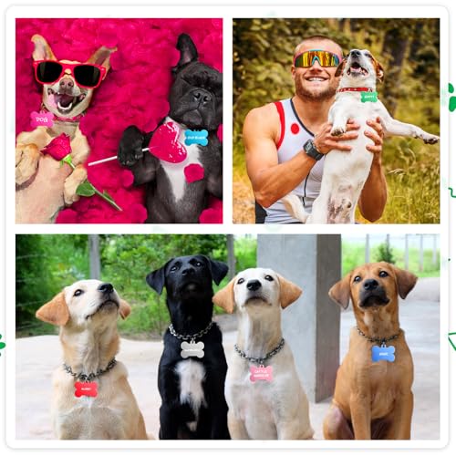 Classicseali 20 Stück Hundemarke Knochen,Metall Erkennungsmarken Rohlinge,Doppelseitige Personalisierte Hunde Marke für ID-Tags,Katzennamen,DIY-Dekorationszubehör,10 Farben