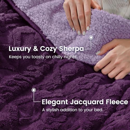 Image of Sherpa Fleece Adult Weighted Blanket Great for Sleep, 20 lbs Dual Sided Soft Fuzzy Heavy Blankets for Couch Bed Sofa, Cozy Warm Fluffy Jacquard Throw for Winter (Purple, 60 inch x 80 inch, 20 Pounds)