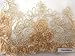 Corsage Lace Embroidered Roses on Mesh Champagne 56 Inch Wide Fabric By the Yard (F.E.®)