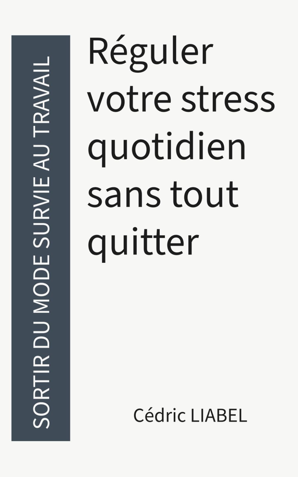 Sortir du mode survie au travail: Réguler votre stress quotidien sans tout quitter (Les Routines du Calme)