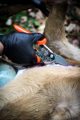 LÖWE Professional Hunting Shears