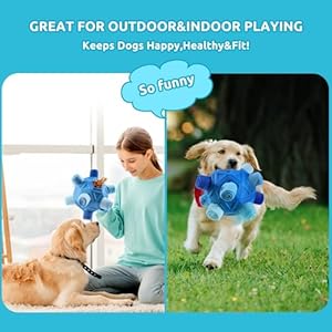 Yikko Interactive Snuffle Ball, Upgraded Chew Dog Toys for Aggressive Chewers, Cloth Strip Hiding Food for Small Medium Dogs (Winter Blue)