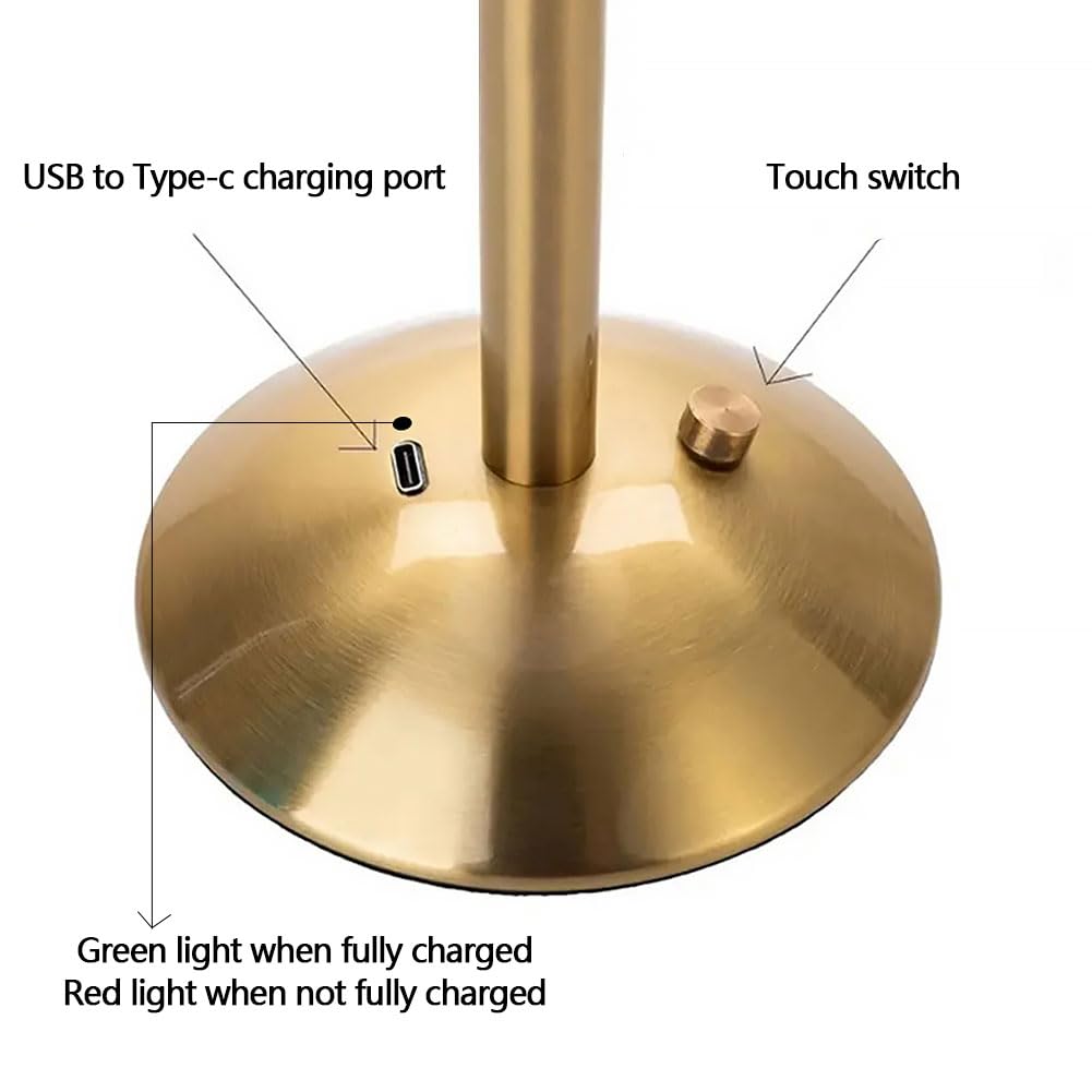 View 4