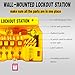 Young Dance Lockout Tagout Station with Loto Devices - 5 Pack Safety Lock Set for Safe Electrical Lockouts,2 Hasps, 25 Loto Tags,Lock Out Tag Out Kit Board,Lockout Safety Supply for OSHA Compliance