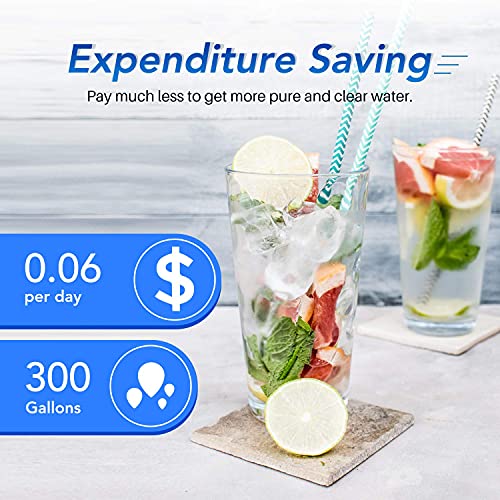 Icepure Ukf8001 Replacement Refrigerator Water Filter For Maytag Ukf8001, Ukf8001Axx, Whirlpool 4396395, Edr4Rxd1, 469006, Everydrop Filter 4, Rwf0900A, 5Pack #TOP6