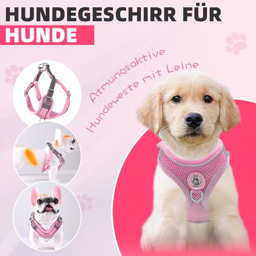 Hundegeschirr mit Hundeleine Set, Air-Mesh Atmungsaktiv Brustgeschirr für Kleine, Mittelgroße Hunde & Welpen, Weich Gepolstert Einstellbar Reflektierend Geschirr (Rosa, S)