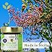 L’Oro Del Sud - Pistachio Cream with Sea Salt, Sicilian Sweet & Salty Pistachio Spread, 7 oz (200g), Sweet Pistachio Butter, Product of Italy, (Sweet & Salty)