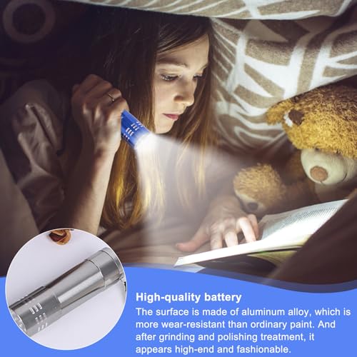 Behogan 12 Stück Mini LED Taschenlampe, Aluminium Taschenlampe Kinder mit 9 LED, Kindertaschenlampe mit Schlüsselband, Taschenlampen für Camping, Wandern, Klettern, Kindergeburtstag Gastgeschenke