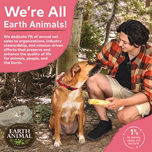 Earth Animal No Hide Small Salmon Flavored Natural Rawhide Free Dog Chews Long Lasting Dog Chew Sticks | Dog Treats For Small Dogs | Great Dog Chews For Aggressive Chewers #TOP6