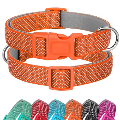 Didog Reflektierendes Hundehalsband mit Schnalle, verstellbar, weiches Neopren, gepolstert, Nylon, Haustierhalsbänder für kleine, mittelgroße und große Hunde, Orange, S