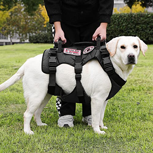 NOYAL-Dog-Lift-Harness-Pet-Support-Rehabilitation-Sling-Lift-Adjustable-Padded-Breathable-Straps-for-Old-Disabled-Joint-Injuries-Arthritis-Loss-of-Stability-Dogs-Black - Cucciolini Doodles   NOYAL-Dog-Lift-Harness-Pet-Support-Rehabilitation-Sling-Lift-Adjustable-Padded-Breathable-Straps-for-Old-Disabled-Joint-Injuries-Arthritis-Loss-of-Stability-Dogs-Black