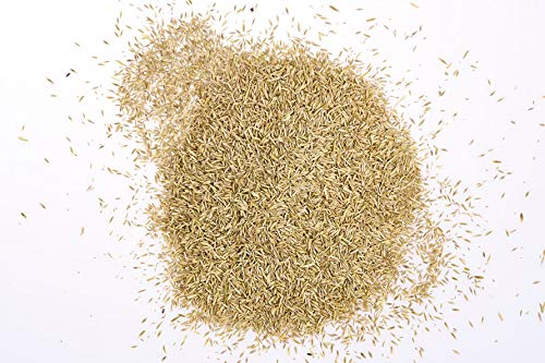 Foto von WOLF Garten WOLF-Garten - Turbo-Nachsaat Schatten L-RS 100