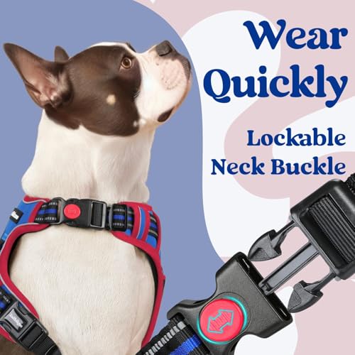 rabbitgoo Dog Harness Medium Sized, No Pull Pet Harness with 3 Buckles, Adjustable Soft Padded Vest with Control Handle, Walking Reflective Pet Vest for Medium Dogs, Royal Blue & Red, M by rabbitgoo - Image 2