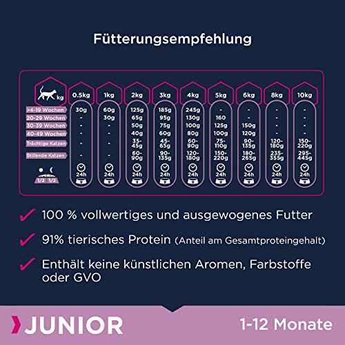 Eukanuba Junior Katzenfutter trocken - Premium Trockenfutter für Kitten von 1-12 Monate, fördert gesundes Wachstum, hoher Fleischanteil, 2 kg