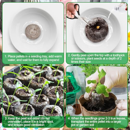 Image of Legigo 50 Pcs 30mm Peat Pellets Seed Starter Soil Pods- Seedling Soil Peat Pods for Seed Starting, Compressed Seed Pod Root Starter Plugs for Garden Plant Cuttings Planting Herb Flower and Vegetables